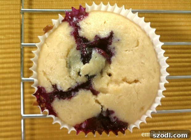 Lemon Blueberry Muffin