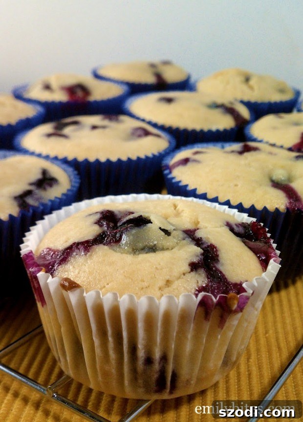 Lemon Blueberry Muffins