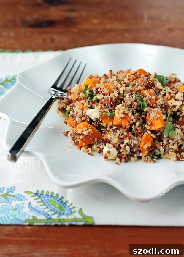 Close-up of Butternut Squash Quinoa Salad showing texture and ingredients