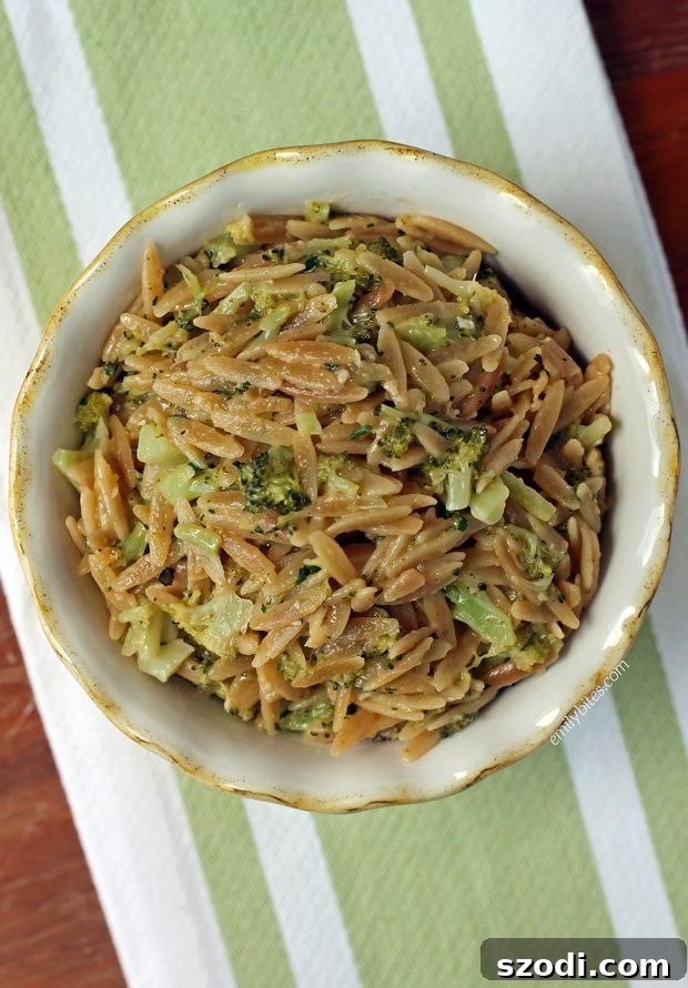 Creamy Cheddar Broccoli Orzo 3 Delicious Cheddar Broccoli Orzo ready to serve