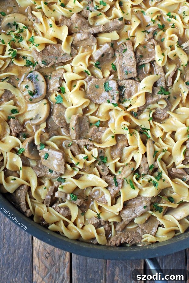 Close-up of creamy Beef Stroganoff with egg noodles and sliced mushrooms.