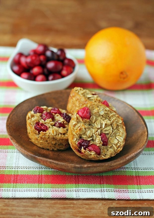Close-up view of Orange Cranberry Baked Oatmeal Singles, highlighting texture and ingredients
