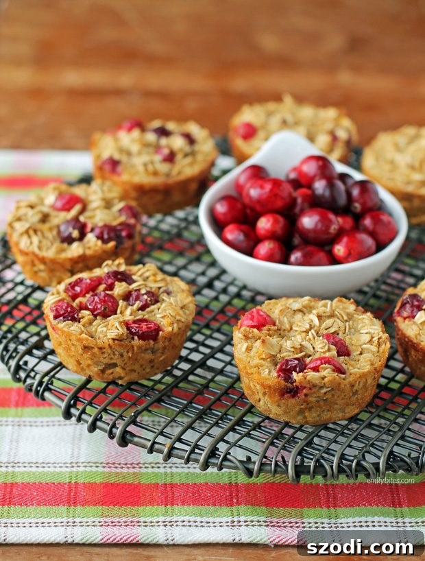 Delicious Orange Cranberry Baked Oatmeal Singles on a rustic wooden board