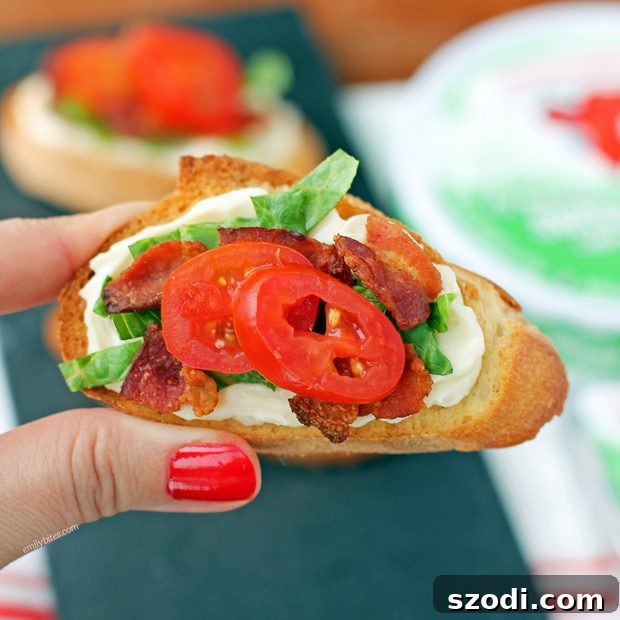 Close-up of freshly made Cheesy BLT Crostini with creamy cheese