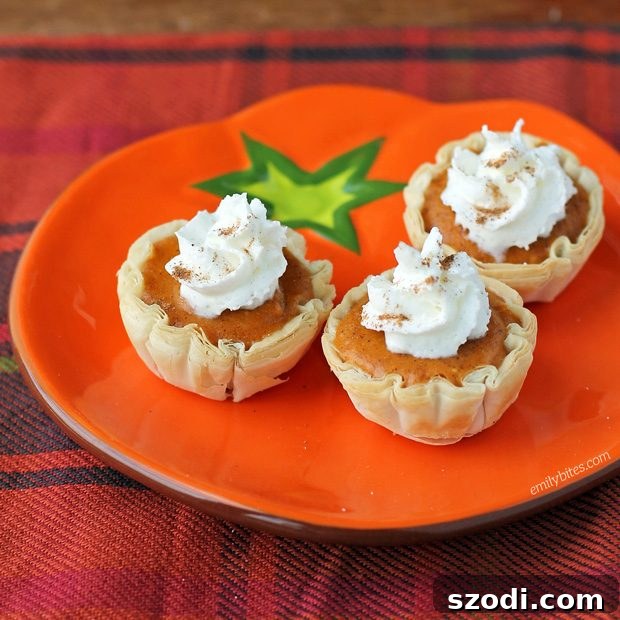 Pumpkin Pie Bites - Voted Best Dessert Recipe 2017