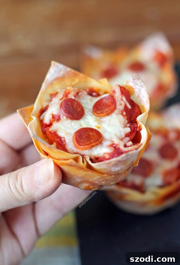 Pizza Wonton Cups - Voted Best Muffin Tin Meal Recipe 2017