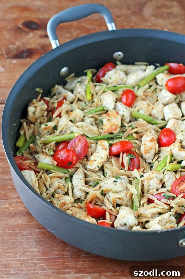 Lemon Chicken Orzo with Tomatoes and Asparagus - Voted Best One-Pot Meal 2017