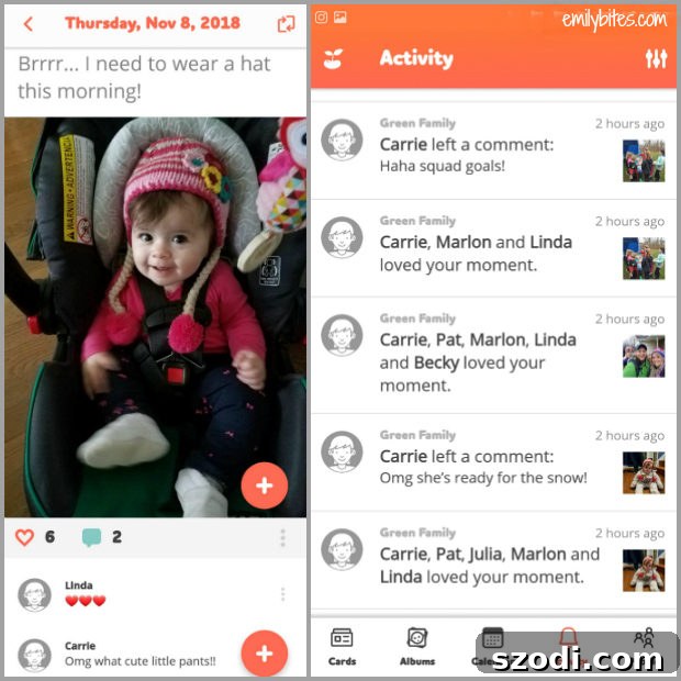 Tinybeans app showing photo details and activity log