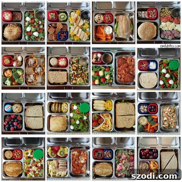 Variety of healthy lunches packed in Planetbox containers