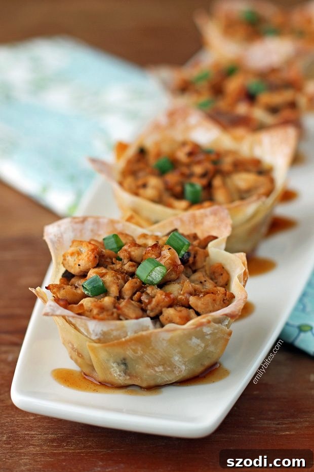 Best Handheld Recipe: Asian Chicken Wonton Cups, a popular choice for easy, flavorful, and healthy meals.