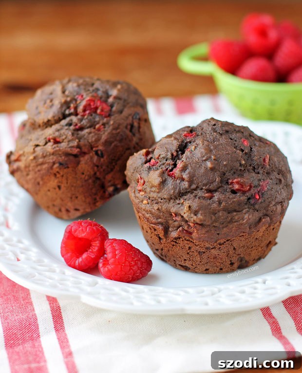 Two enticing Chocolate Raspberry Muffins on a pristine white plate, ready to be enjoyed.