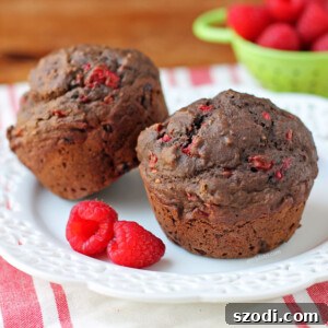 Two Chocolate Raspberry Muffins on a plate