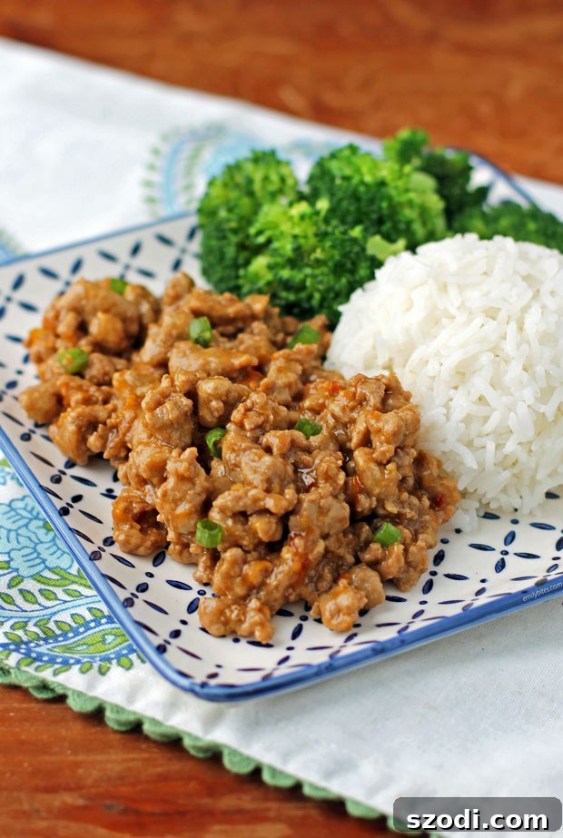 Orange Ground Turkey plated with rice and broccoli