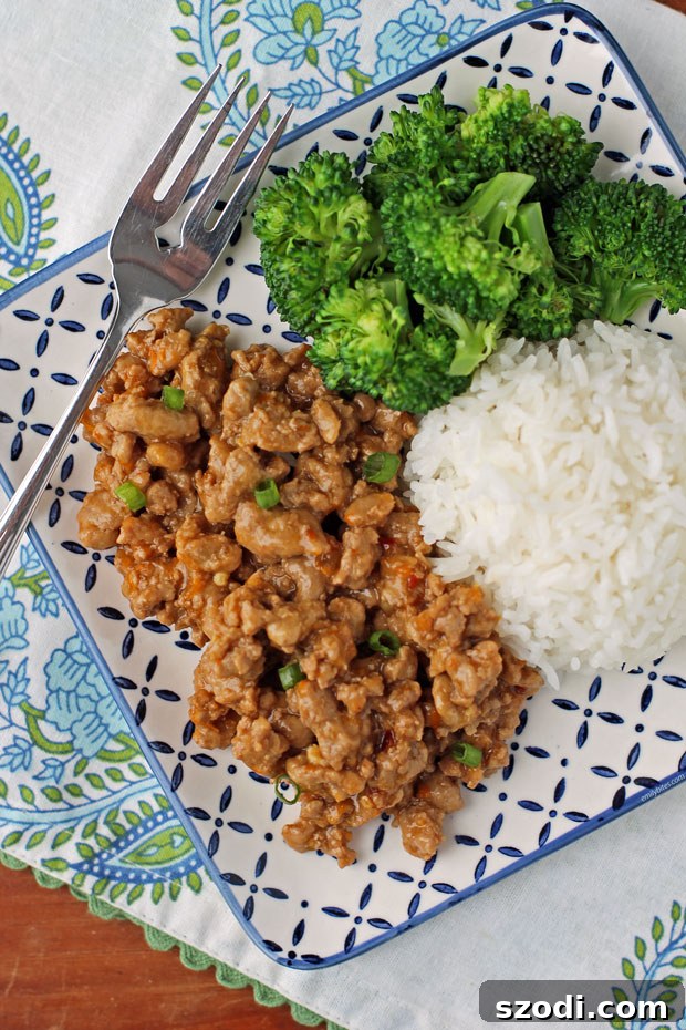 Orange Ground Turkey with sides overhead