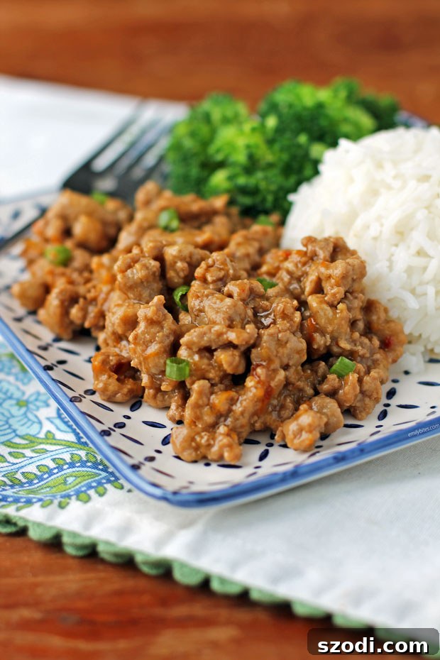 Orange Ground Turkey on a plate close up