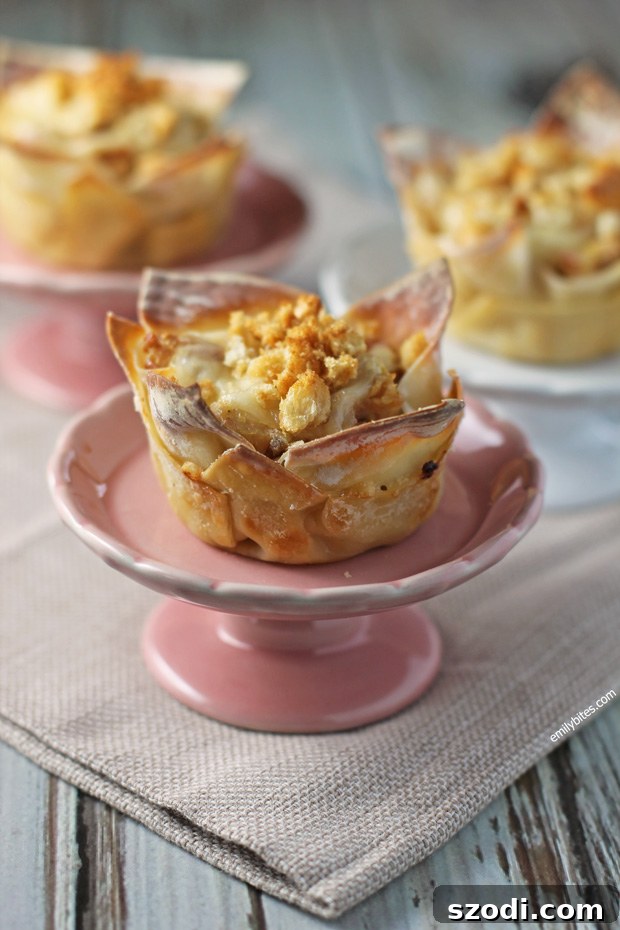 Close-up of baked Chicken Cordon Bleu Wonton Cupcakes with golden tops