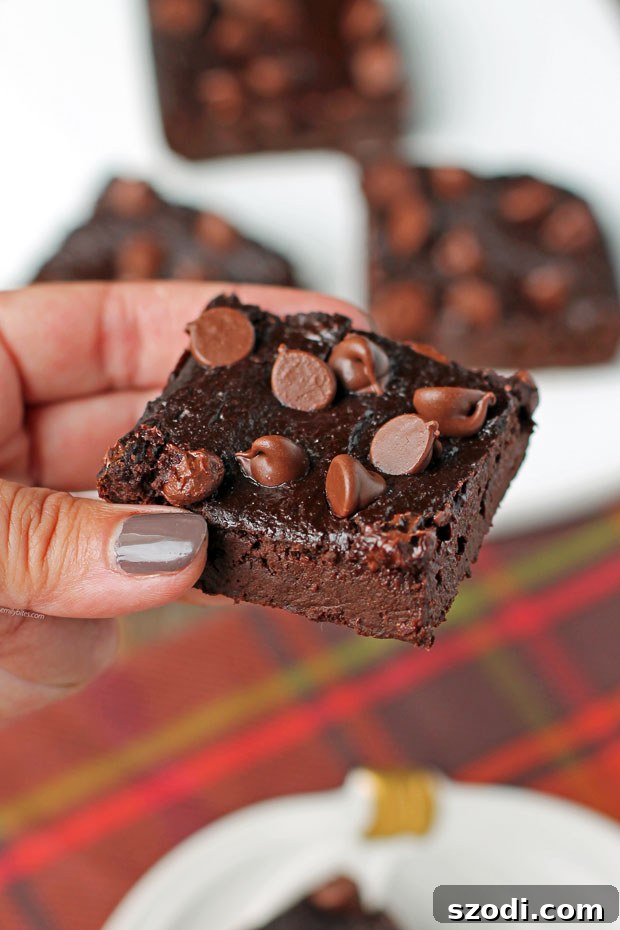 A hand holding a single fudgy pumpkin chocolate brownie, highlighting its thickness and a sprinkling of chocolate chips on top.
