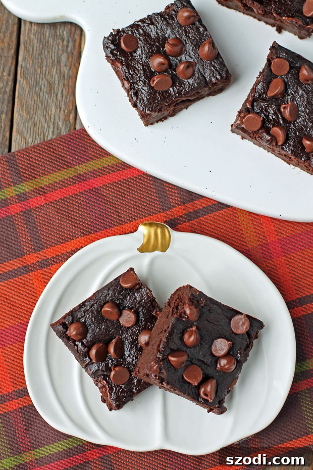 An overhead shot of a batch of fudgy pumpkin chocolate brownies, freshly baked and ready to be cut into squares, with chocolate chips visible.